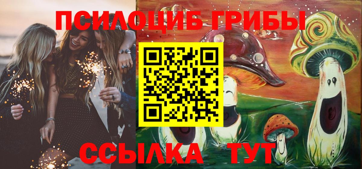 Галлюциногенные грибы MAGIC MUSHROOMS  Вход с VPN  Шатура 